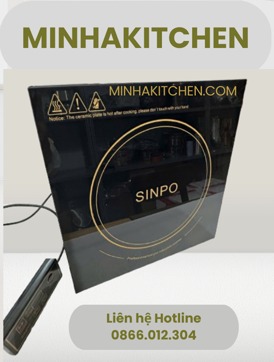 bep-tu-vuong-am-ban-3000w-sinpo