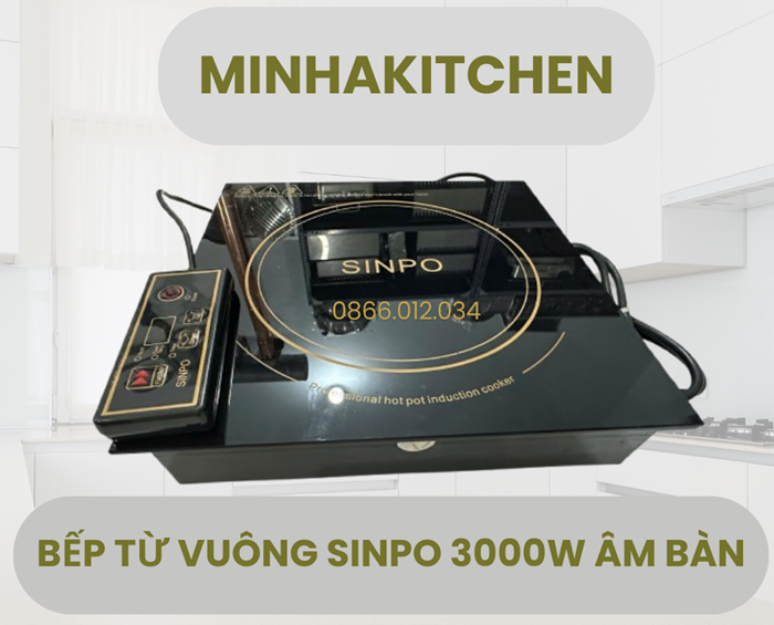 bep-tu-vuong-am-ban-3000w-sinpo