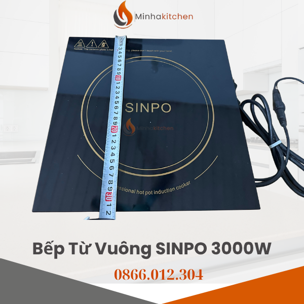 bep-tu-sinpo-3000w-bep-tu-lau-sinpo-3000w