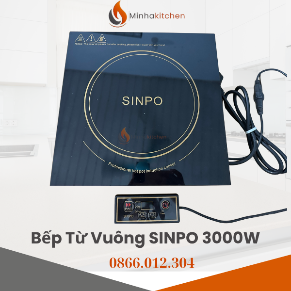 bep-tu-sinpo-3000w-bep-tu-lau-sinpo-3000w